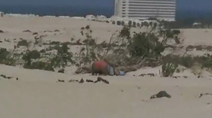 सुंदर लड़कियों